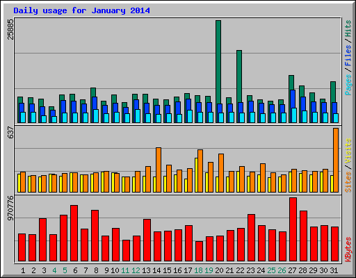 Daily usage for January 2014